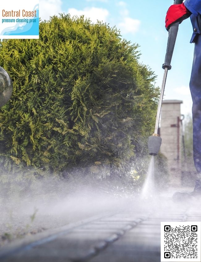 Where can I get mould and mildew removal in Woy Woy?